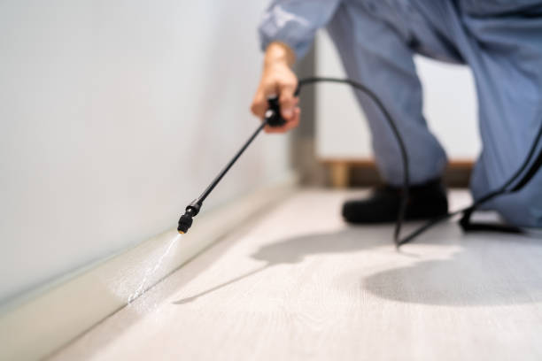 Licensed Ant Control service in University of California-Santa Barbara, CA - Show Me Pest Control
