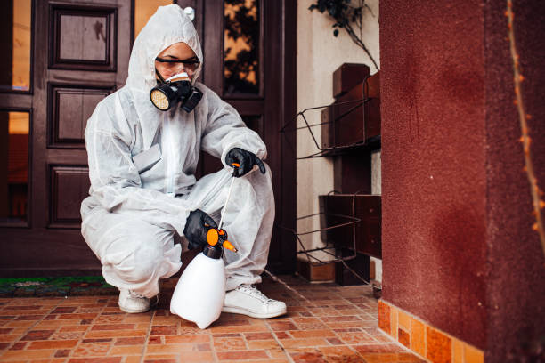 Reliable Ant Control contractor in University of California-Santa Barbara, CA by Show Me Pest Control